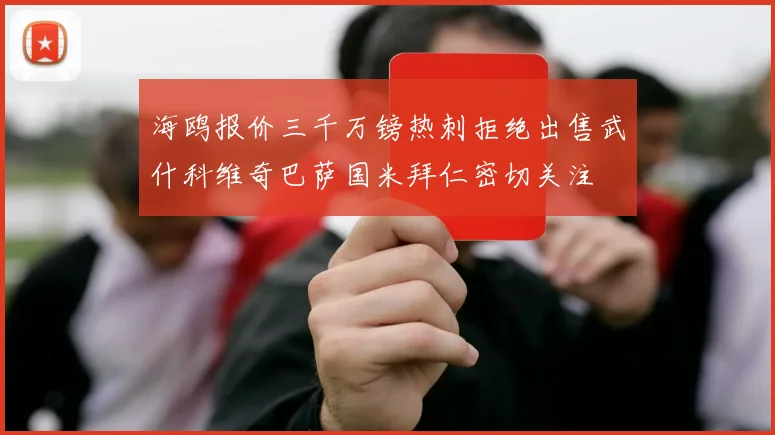 海鸥报价三千万镑热刺拒绝出售武什科维奇巴萨国米拜仁密切关注
